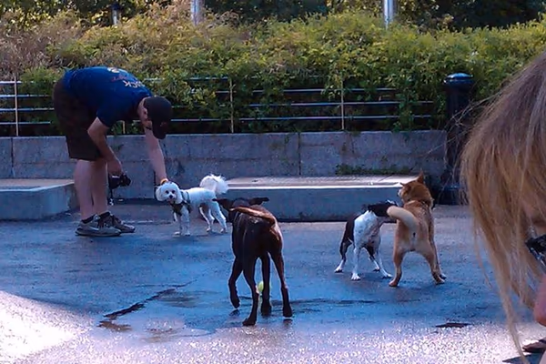 Dog Park at Dudley C. Allen Park